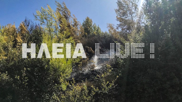 Δύο πύρινα μέτωπα στην Ηλεία