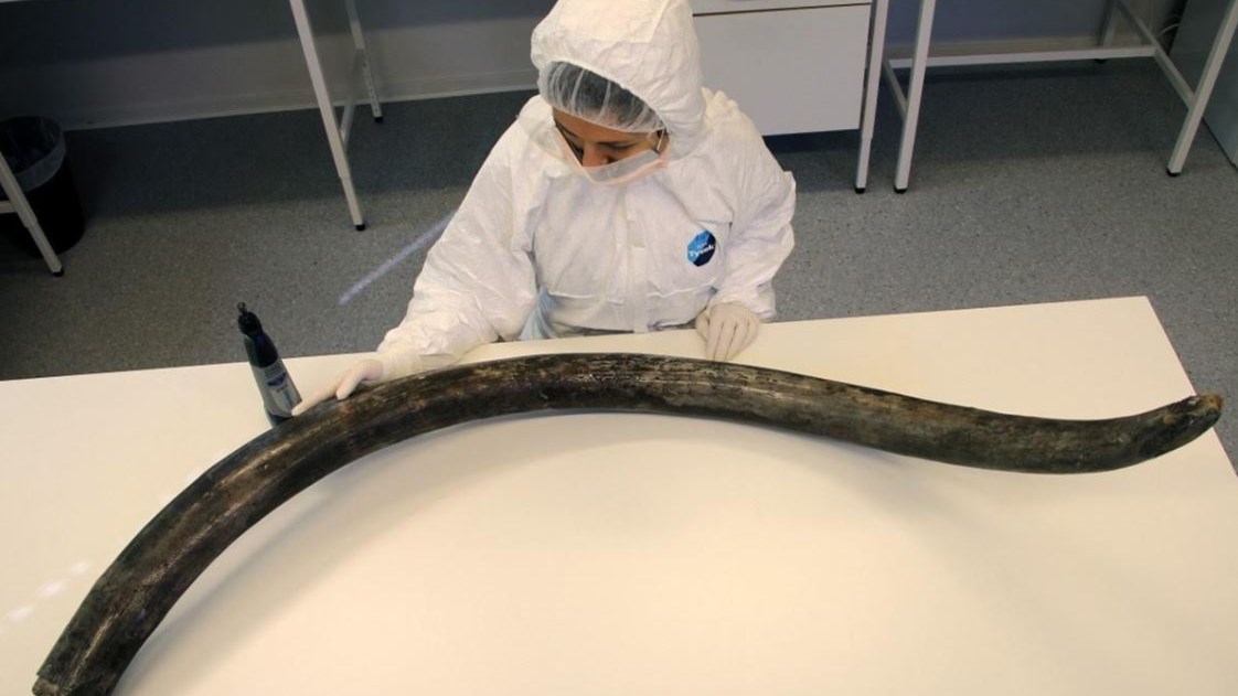 “Ξεκλειδώνει” μυστικά για τη ζωή προϊστορικών ζώων