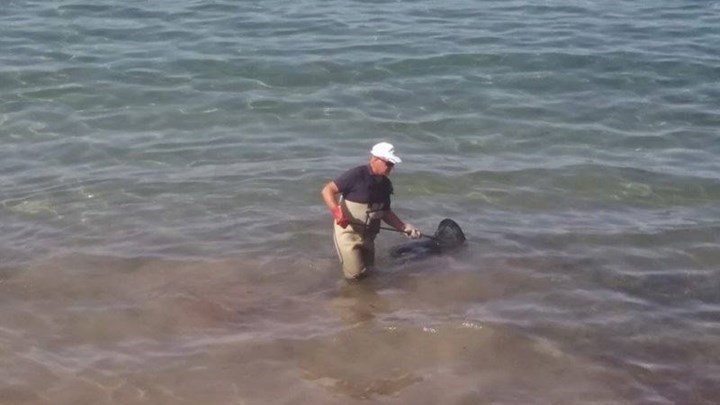 Μαύρισε από το μαζούτ και η παραλία της Παλαιάς Φώκαιας – ΦΩΤΟ