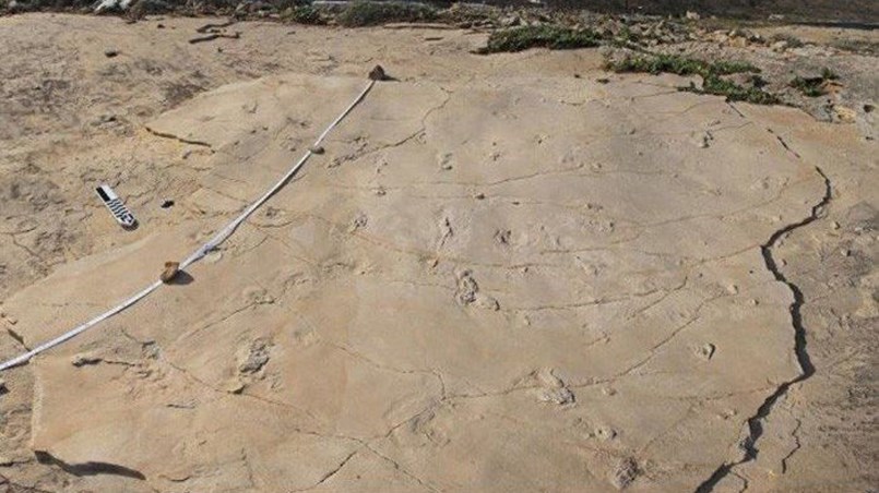 Ο εκπαιδευτικός που κατηγορείται ότι έκλεψε τα απολιθωμένα ίχνη: Τα πήρα για να διακοσμήσω το σπίτι μου