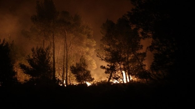 Συνεχίζει να μαίνεται η φωτιά στο Κούτσι Νεμέας