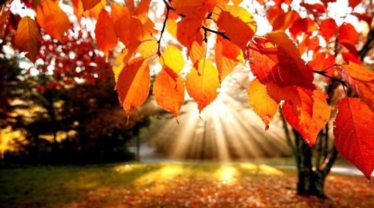 Μπήκε επίσημα το φθινόπωρο στην Ελλάδα – Πότε θα έχουμε φθινοπωρινή ισημερία