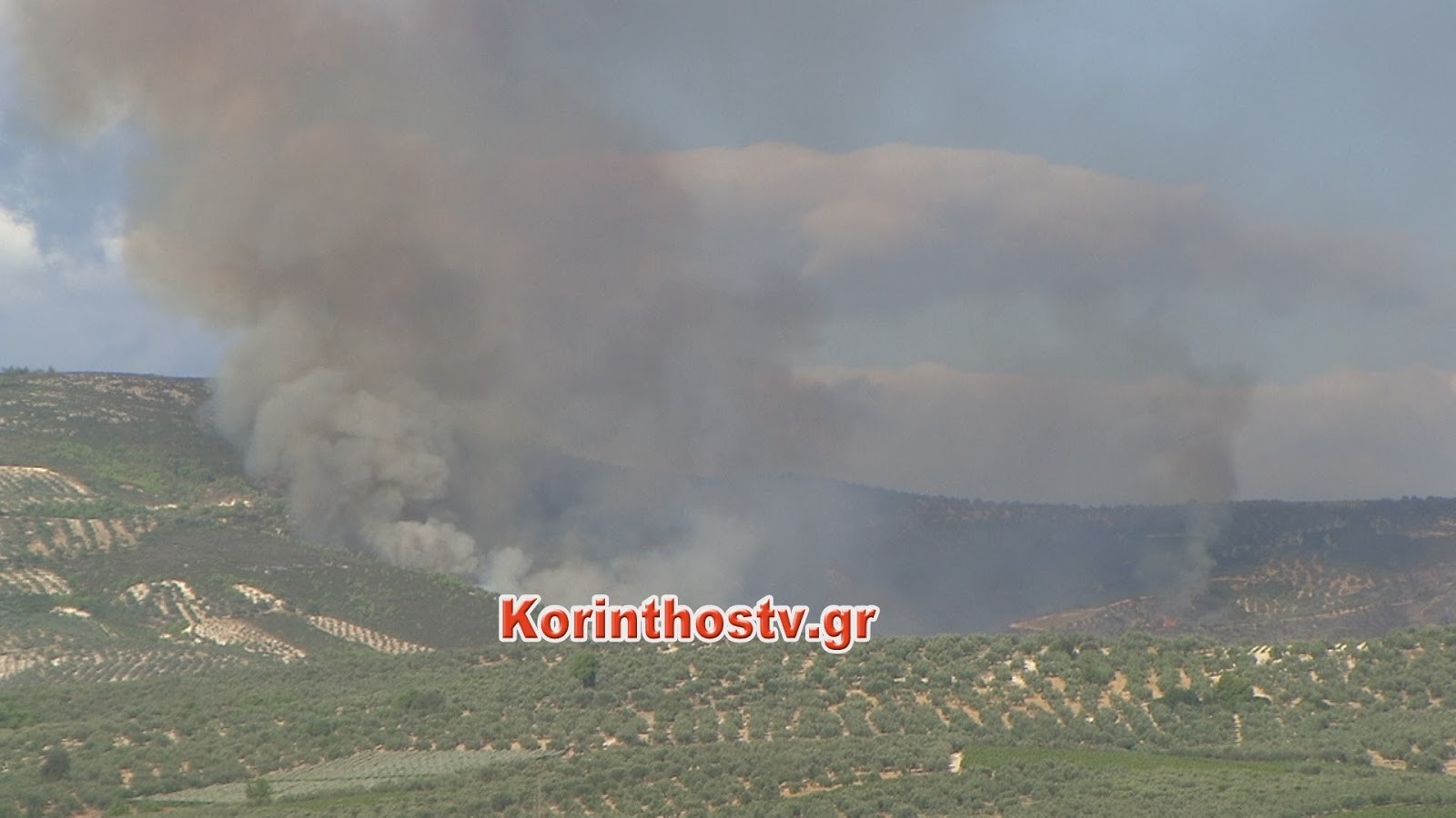 120 πυροσβέστες μάχονται με τις φλόγες στη Νεμέα – Τι λέει ο δήμαρχος για την καταστροφή – ΦΩΤΟ