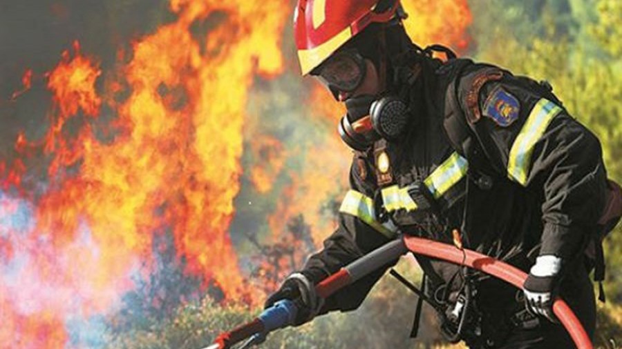 Σκύλος δάγκωσε πυροσβέστη την ώρα που έσβηνε φωτιά