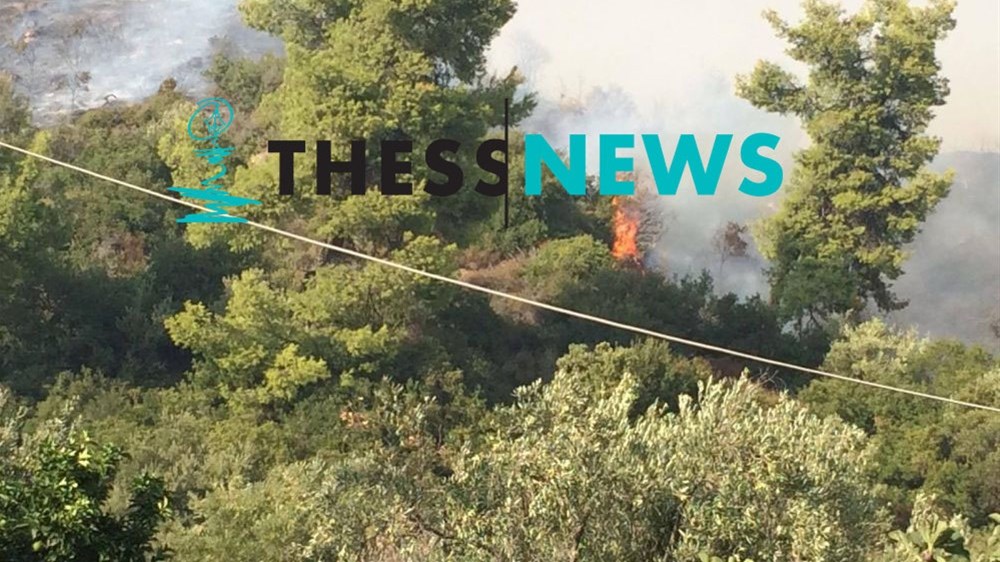 Νέες ΦΩΤΟ από τη μεγάλη φωτιά στην Χαλκιδική