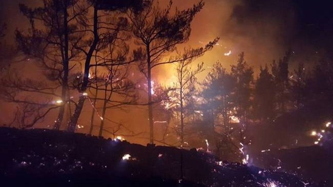 Ολονύχτια μάχη με τις φλόγες στην Κασσάνδρα Χαλκιδικής