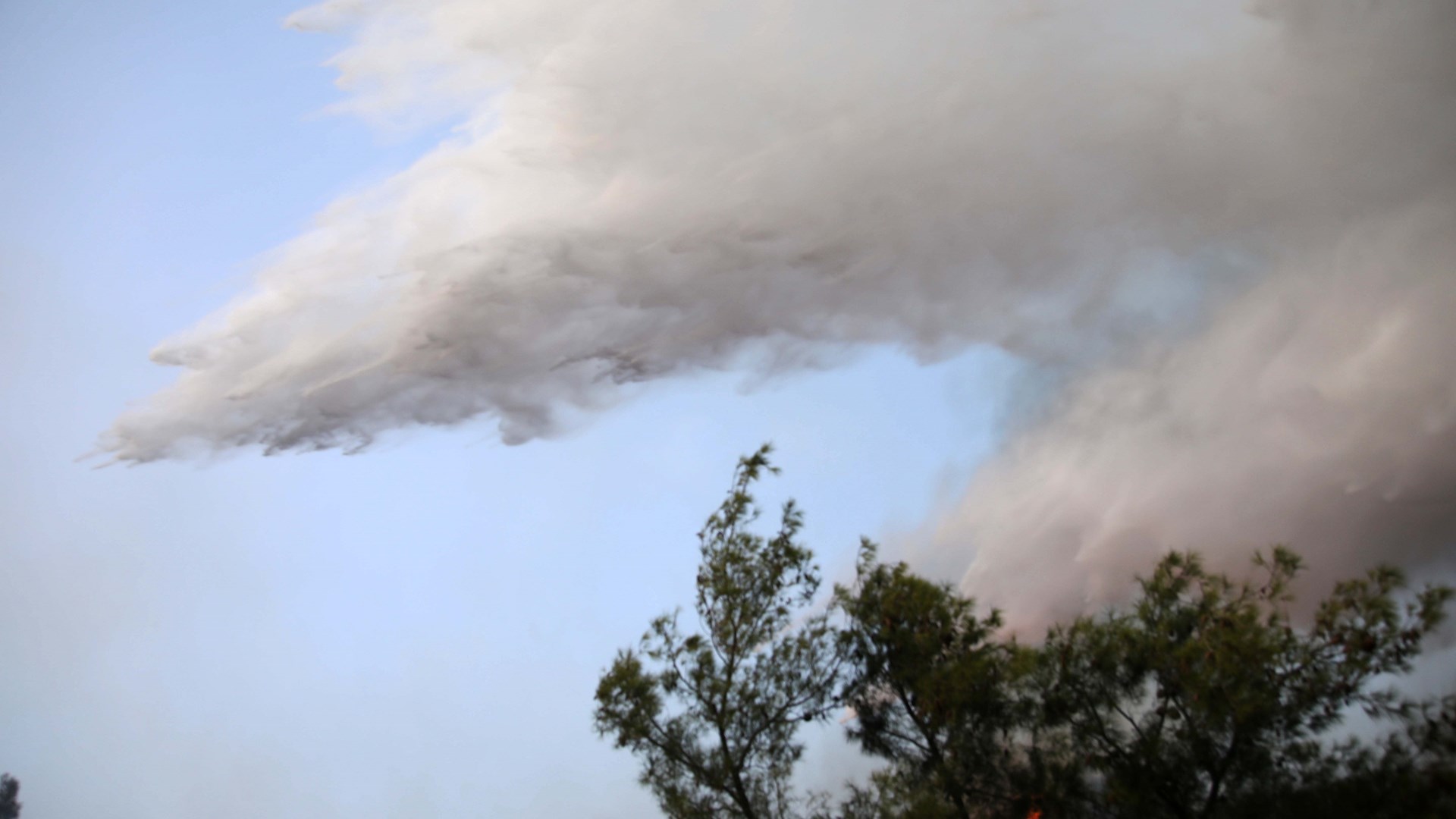 Ολονύχτια μάχη με τις φλόγες σε Χαλκιδική, Σέρρες, Δράμα και Θεσσαλονίκη