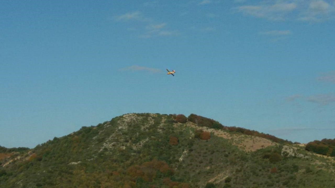 Υπό μερικό έλεγχο οι φωτιές σε Χαλκιδική και Δράμα – Οριοθετήθηκαν τα μέτωπα σε Λιβάδι και Σέρρες – ΦΩΤΟ