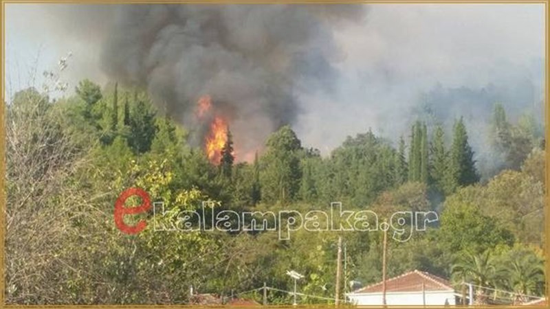 Πυρκαγιά κοντά σε σπίτια στην Καλαμπάκα – ΦΩΤΟ
