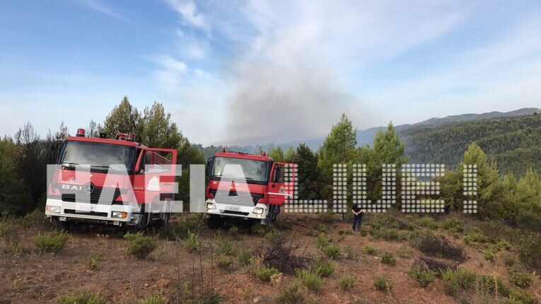 Η φωτιά στην Αρχαία Ολυμπία καίει πευκοδάσος σε χαράδρα – ΦΩΤΟ
