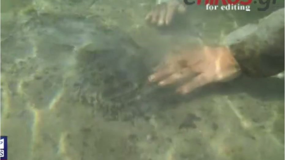 Αποκλειστικό βίντεο ΑΝΤ1: Εικόνες – σοκ από τον βυθό σε παραλία της Γλυφάδας