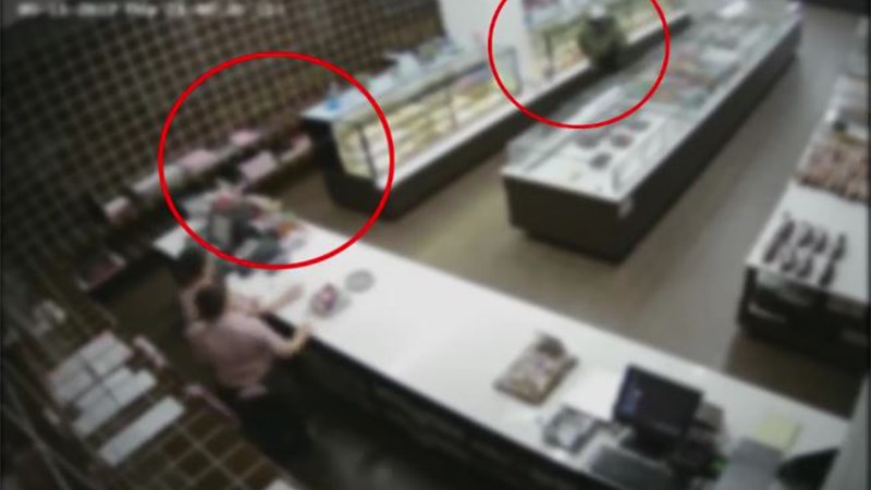 Αυτά είναι τα μέλη της σπείρας που είχαν διαπράξει περισσότερες από 200 ένοπλες ληστείες – ΦΩΤΟ – ΒΙΝΤΕΟ