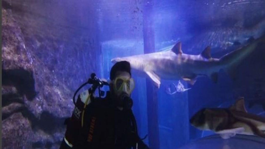 Έλληνας τραγουδιστής κολυμπά ανάμεσα σε καρχαρίες – ΒΙΝΤΕΟ – ΦΩΤΟ