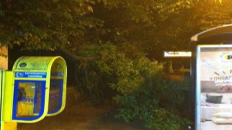 Δέντρο έπεσε σε στάση λεωφορείου – ΦΩΤΟ