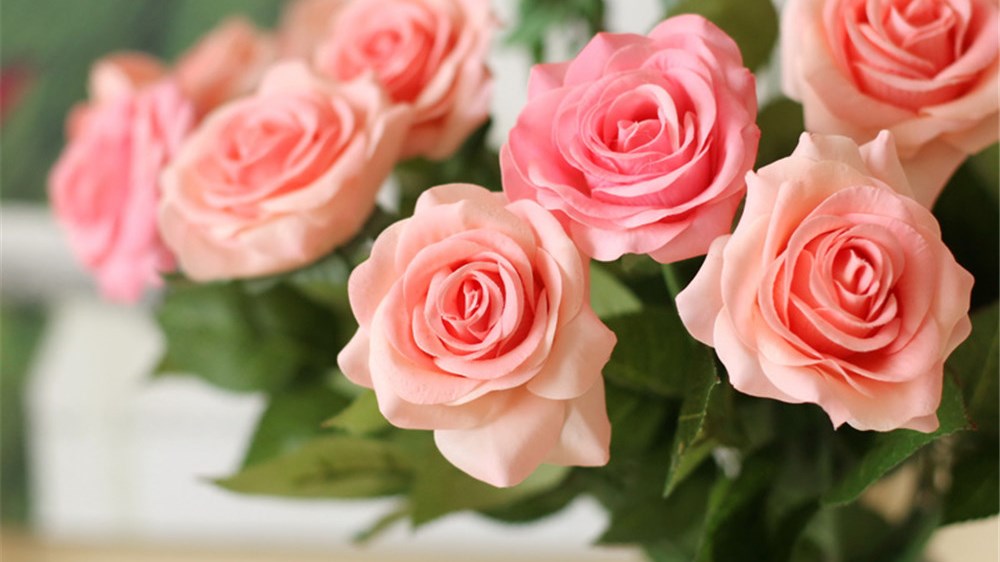 Με αυτό το… αναψυκτικό τα λουλούδια στο βάζο διατηρούνται περισσότερο