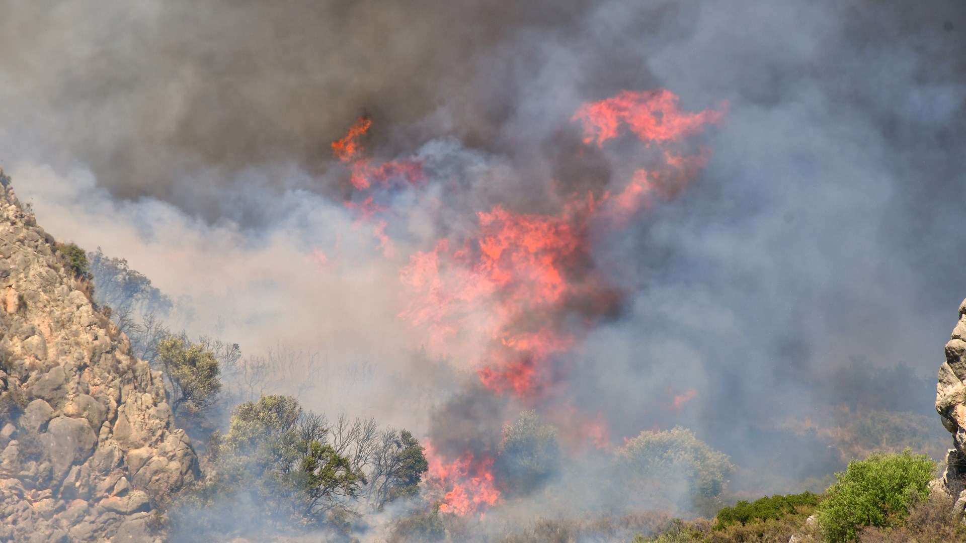 Πυρκαγιά στην Αργολίδα – ΦΩΤΟ