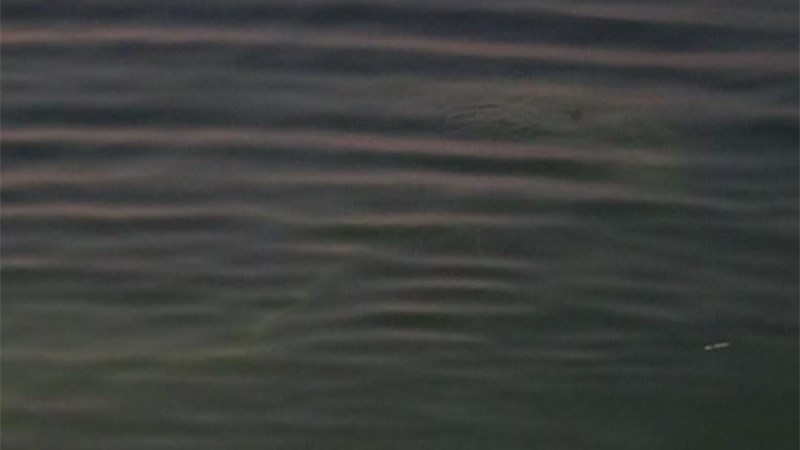 Έπεσε με το αυτοκίνητο στο Θερμαϊκό – Συγκλονιστική διάσωση – ΒΙΝΤΕΟ