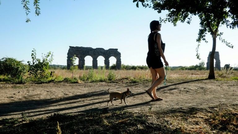 Ιστορική απόφαση στην Ιταλία: Πήρε άδεια μετ’ αποδοχών για να φροντίσει τον άρρωστο σκύλο της