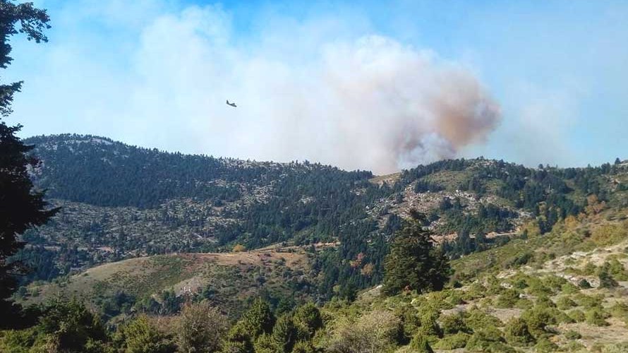 Ολονύχτια μάχη με τις φλόγες στην Εύβοια – ΦΩΤΟ
