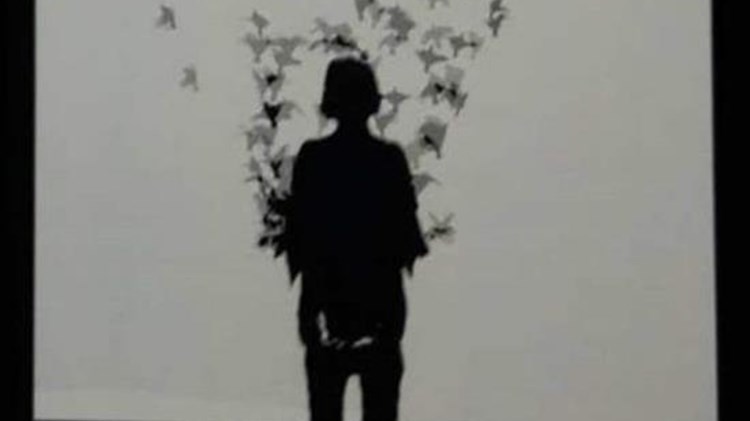 «Φωτιές» ανάβει το δεύτερο δικαστικό «όχι» στην αποφυλάκιση Ηριάννας-Περικλή