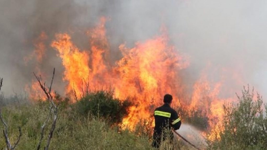 Φωτιά στο δάσος της Στροφυλιάς στην Αχαΐα – Μάχη να σωθεί η προστατευόμενη δασική περιοχή