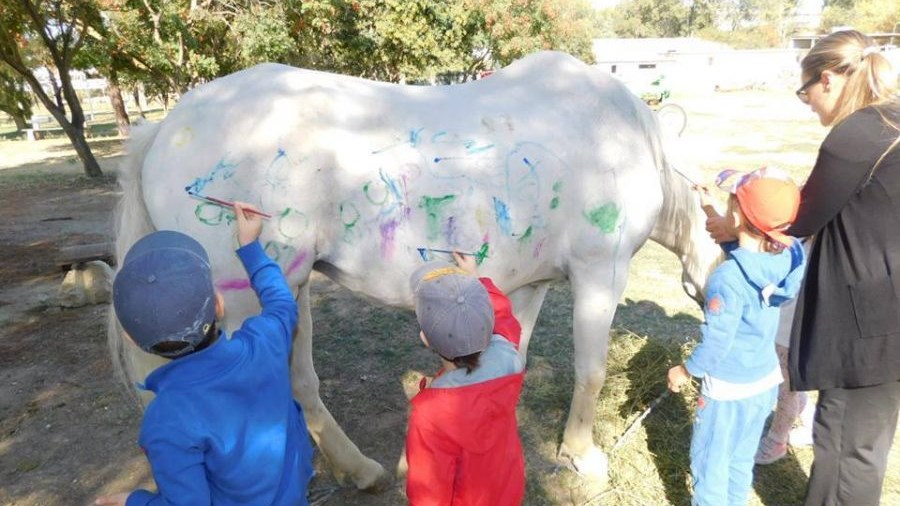 Θύελλα αντιδράσεων για τους παιδαγωγούς που έβαλαν παιδιά να ζωγραφίσουν πάνω σε άλογα – ΦΩΤΟ