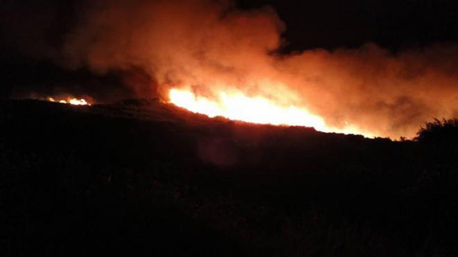 Πυρκαγιά σε δασική έκταση στην περιοχή Νεμούτα της Ηλείας