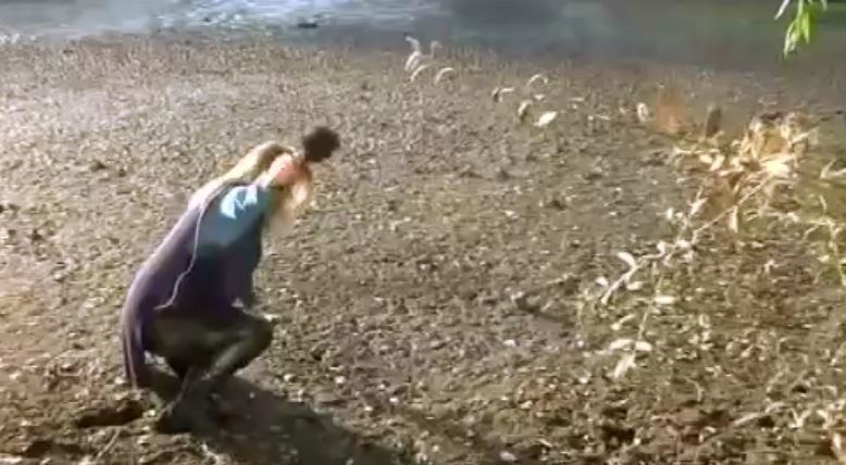 Η λίμνη της Καστοριάς “κατάπιε” δημοσιογράφο σε ζωντανή σύνδεση – ΒΙΝΤΕΟ