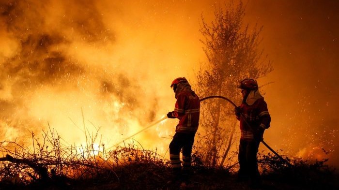 Πορτογαλία: Oικολογική καταστροφή χωρίς προηγούμενο από τις φετινές πυρκαγιές