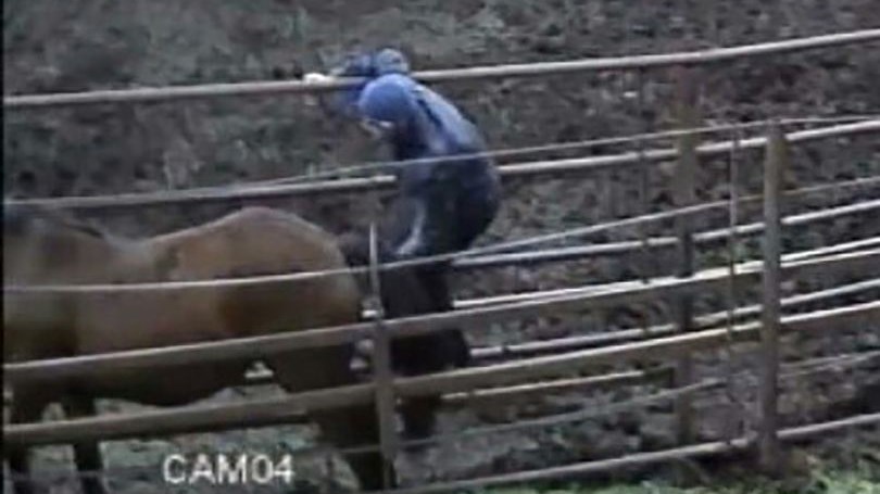 Ασύλληπτο: Απάτησε τη σύντροφό του με… άλογο – ΦΩΤΟ