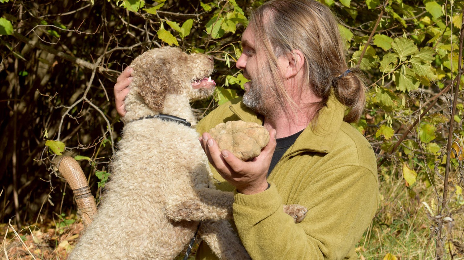 Αυτή είναι η μεγαλύτερη λευκή τρούφα που βρέθηκε στην Ελλάδα – ΦΩΤΟ