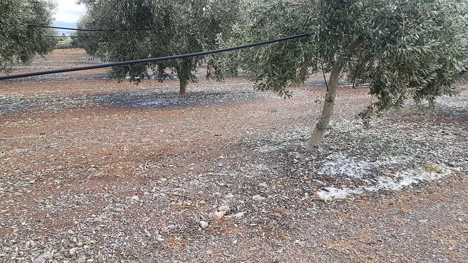 Μεγάλες ζημιές από τη χαλαζόπτωση στη Φθιώτιδα – ΦΩΤΟ