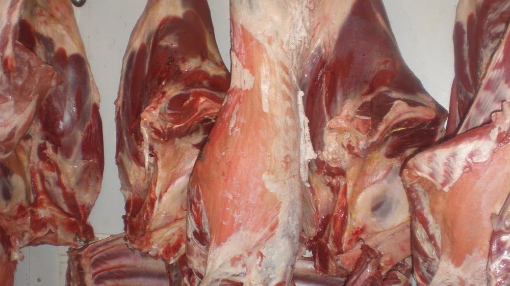 Μεγάλη φοροδιαφυγή από κύκλωμα ελληνοποίησης βουλγαρικών κρεάτων εντόπισε η ΑΑΔΕ