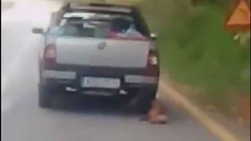 Απάνθρωπο: Οδηγός σέρνει σκύλο που έχει δέσει στο αυτοκίνητο του – ΒΙΝΤΕΟ