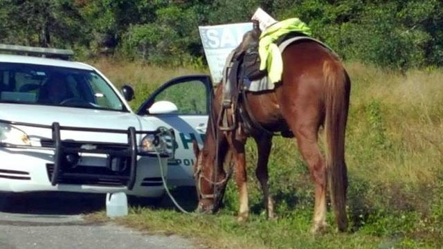 ΗΠΑ: Την συνέλαβαν επειδή οδηγούσε μεθυσμένη ένα… άλογο – ΦΩΤΟ
