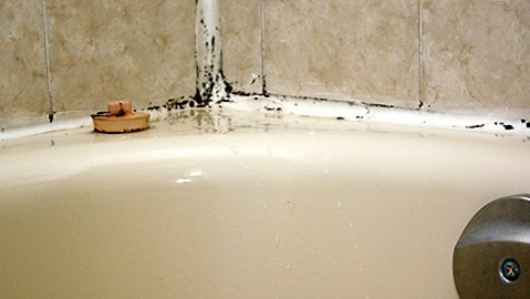 Πώς βγαίνει η μούχλα από τα δύσκολα σημεία στο μπάνιο;
