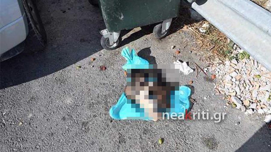 Φρίκη στο Ηράκλειο – Σκότωσε κουταβάκια και τα πέταξε στα σκουπίδια – ΒΙΝΤΕΟ – ΦΩΤΟ