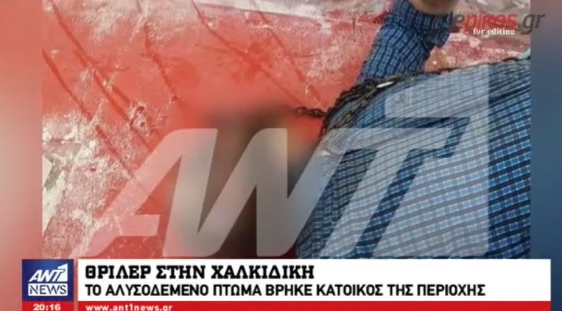 Μυστήριο με το αλυσοδεμένο πτώμα στη Χαλκιδική – Σκληρές εικόνες