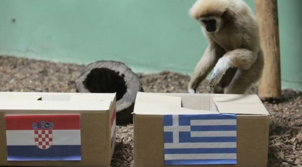 Η μαϊμού στο Ζάγκρεμπ “ψήφισε” Ελλάδα – ΒΙΝΤΕΟ