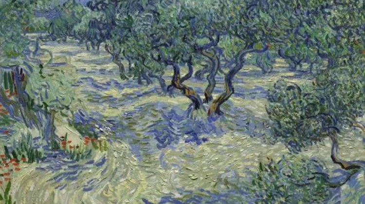 Βρέθηκε ακρίδα κολλημένη σε έργο του Βαν Γκογκ – ΦΩΤΟ