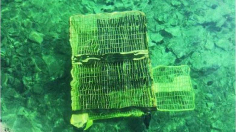 Αντιδήμαρχος βούτηξε στην θάλασσα για να σώσει αγοράκι – Ήταν εγκλωβισμένο μέσα σε σιδερένιο κιβώτιο