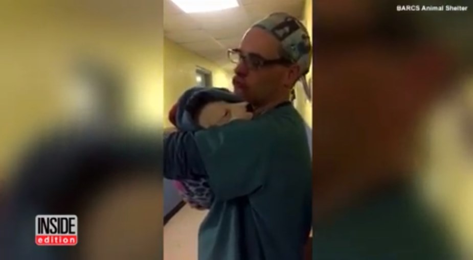 «Έλιωσε» το ίντερνετ με τον κτηνίατρο που παρηγορεί κουτάβι μετά από εγχείρηση- ΒΙΝΤΕΟ