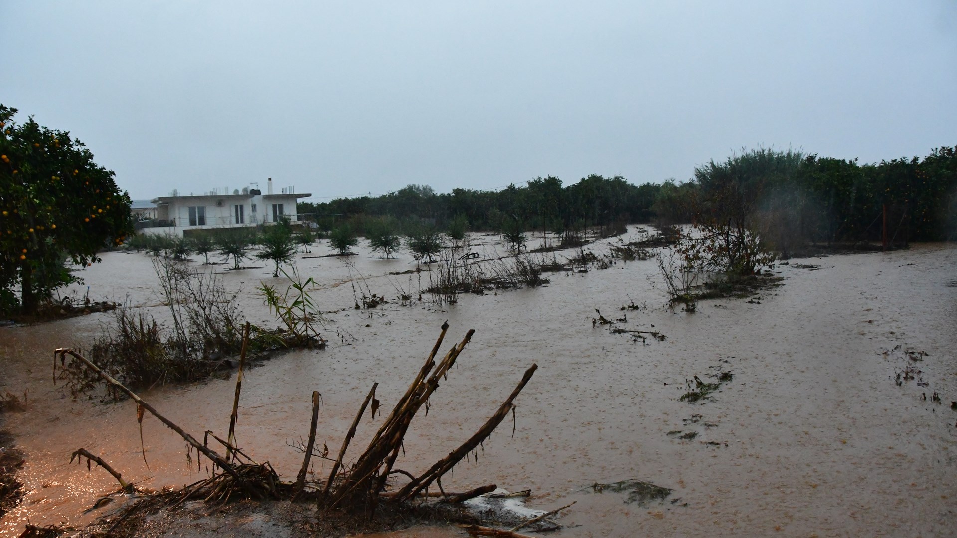 Πλημμυρισμένοι δρόμοι και πολλά προβλήματα από την καταρρακτώδη βροχή στην Αργολίδα – ΒΙΝΤΕΟ