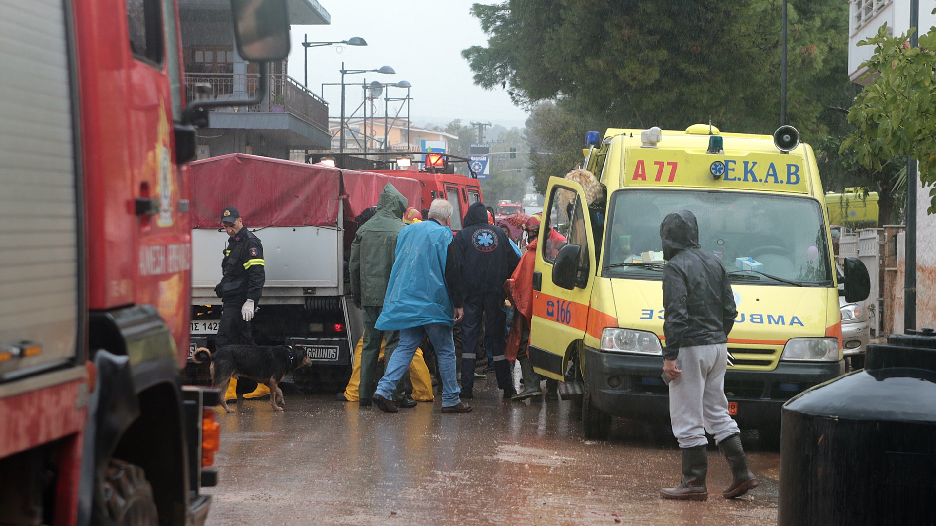 Σε δύο άνδρες ανήκουν οι σοροί που εντοπίστηκαν στις θαλάσσιες περιοχές Ελευσίνας και Ασπροπύργου