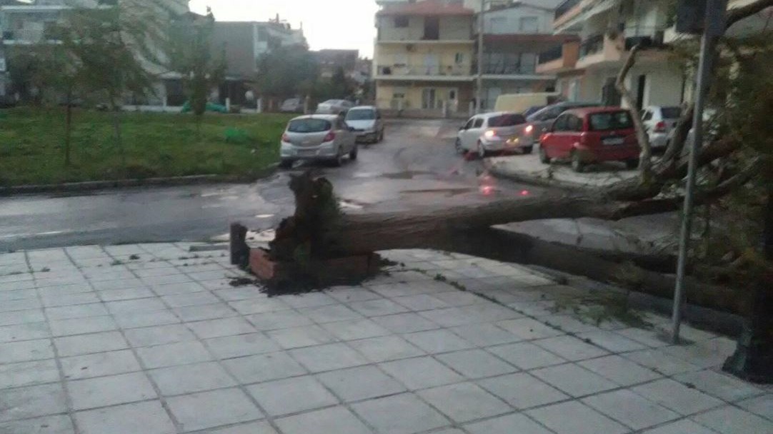 Σφοδρή βροχόπτωση στην Κεντρική Μακεδονία – Κλειστοί δρόμοι και δεκάδες κλήσεις στην Πυροσβεστική – ΦΩΤΟ