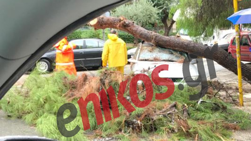 Δέντρο έπεσε πάνω σε αυτοκίνητο στη Νέα Σμύρνη – ΦΩΤΟ αναγνώστη