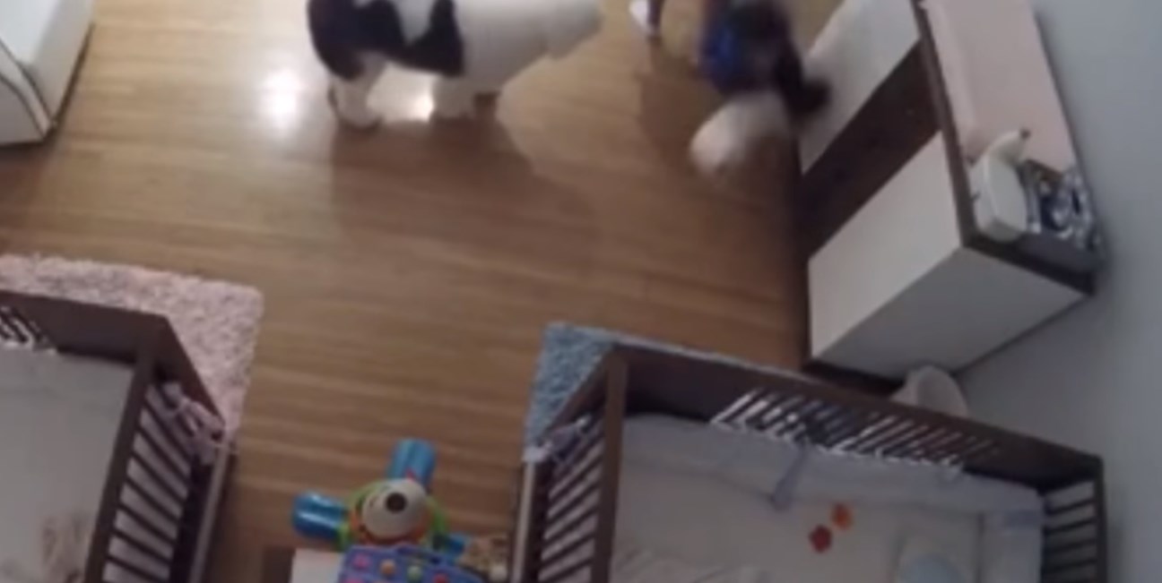 Η συγκλονιστική στιγμή που 9χρονος σώζει τον 11 μηνών αδελφό του από πτώση- ΒΙΝΤΕΟ