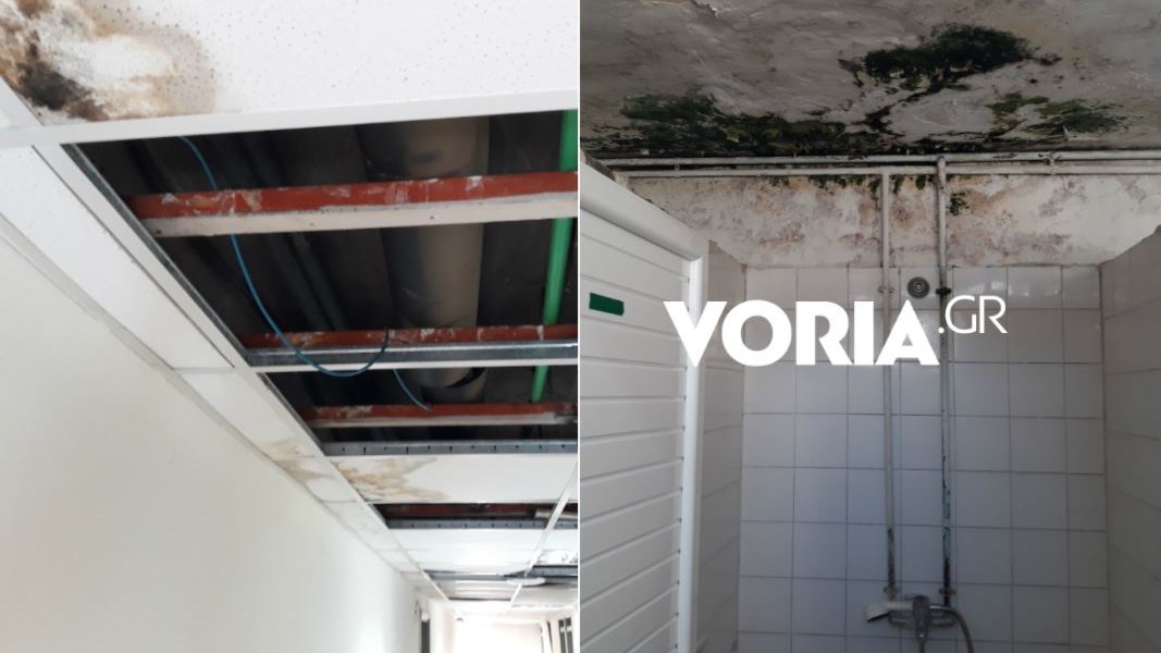 Εικόνες σοκ – Σε τραγική κατάσταση οι υποδομές στις φοιτητικές εστίες του ΑΠΘ – ΦΩΤΟ – ΒΙΝΤΕΟ