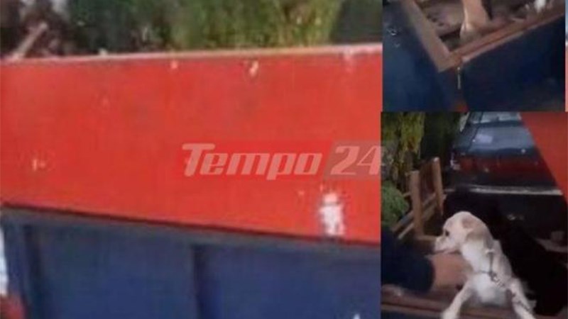 Μεταφέρει σκυλάκια δεμένα σε τρέιλερ – Τι καταγγέλλει η γυναίκα που τον εντόπισε – ΦΩΤΟ