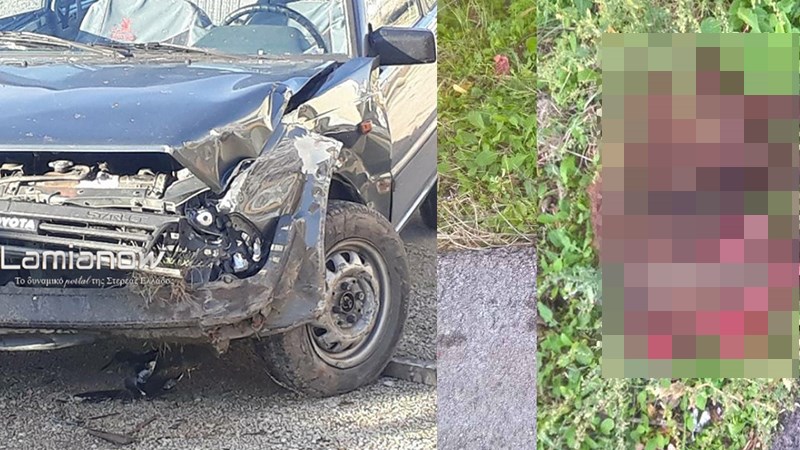 Τράκαρε με αγριογούρουνα που είχαν βγει στο δρόμο – Σκληρές εικόνες